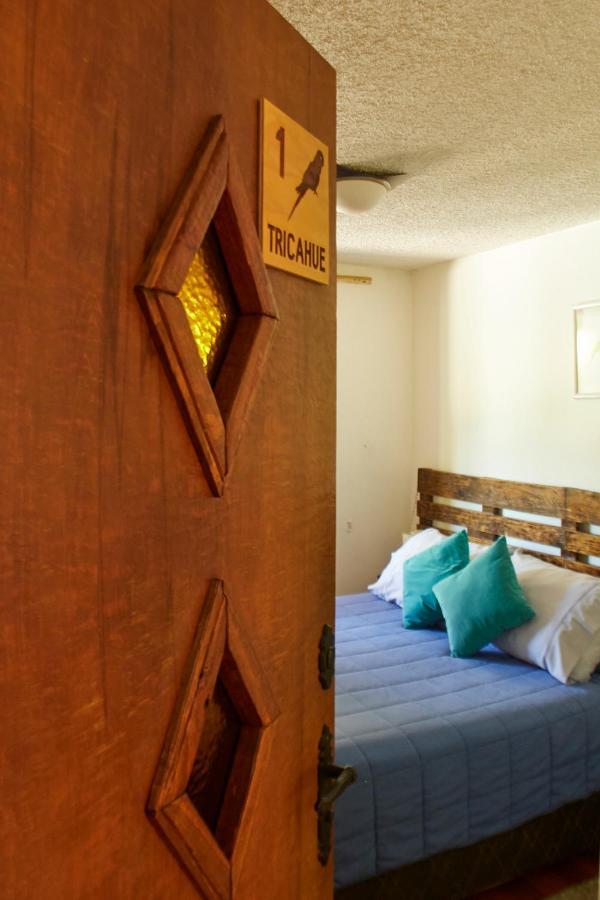 Hostal Aldea Colchagua Experience 산타크루스 외부 사진